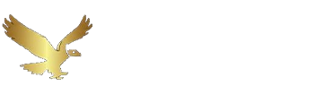 Expert social media marketing campaigns by Condor Wizeli